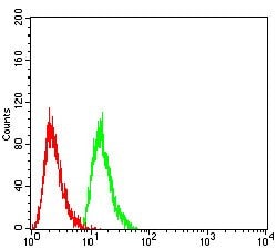 Invitrogen RAN Monoclonal Antibody (8D1A6) 100 &mu;g; Unconjugated:Antibodies,