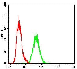 Invitrogen RAP1GAP Monoclonal Antibody (2G7B6) 100 &mu;g; Unconjugated:Antibodies,