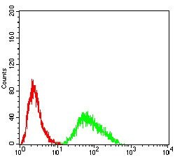 Invitrogen SH3GL1 Monoclonal Antibody (2A9H4) 100 &mu;g; Unconjugated:Antibodies,
