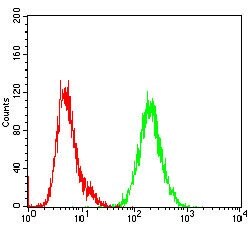 Invitrogen SHC Monoclonal Antibody (2F7C7) 100 &mu;g; Unconjugated:Antibodies,