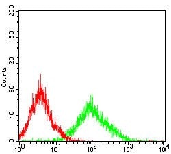 Invitrogen SLUG Monoclonal Antibody (4B6D5) 100 &mu;g; Unconjugated:Antibodies,