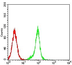 Invitrogen SPA17 Monoclonal Antibody (3G9F3) 100 &mu;g; Unconjugated:Antibodies,