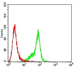 Invitrogen SPA17 Monoclonal Antibody (3G9F3) 100 &mu;g; Unconjugated:Antibodies,