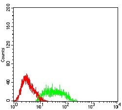 Invitrogen SSTR2 Monoclonal Antibody (6A1C6) 100 &mu;g; Unconjugated:Antibodies,