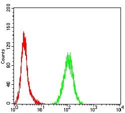 Invitrogen TOP2A Monoclonal Antibody (6C12G12) 100 &mu;g | Buy Online | Invitrogen&trade; | Fisher Scientific