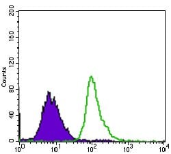 Invitrogen 53BP1 Monoclonal Antibody (6B3E10) 100 &mu;g; Unconjugated:Antibodies,