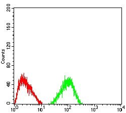 Invitrogen TRAF2 Monoclonal Antibody (5C2C3) 100 &mu;g; Unconjugated:Antikörper