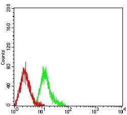 Invitrogen TRIM29 Monoclonal Antibody (8C8G5) 100 &mu;g; Unconjugated:Antibodies,