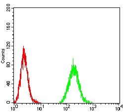 Invitrogen UHRF1 Monoclonal Antibody (1A1B1) 100 &mu;g; Unconjugated:Antibodies,
