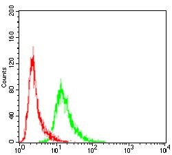 Invitrogen VAV2 Monoclonal Antibody (3F5D3) 100 &mu;g; Unconjugated:Antibodies,