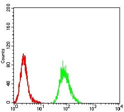 Invitrogen Human Parvovirus VP2 Monoclonal Antibody (4E5A4) 100 &mu;g;