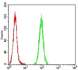 Invitrogen WT1 Monoclonal Antibody (7F9E8) 100 &mu;g; Unconjugated:Antibodies,