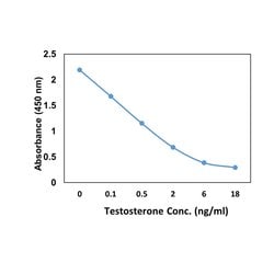 Testosterone Recombinant Rabbit Monoclonal Antibody (RM435), Invitrogen