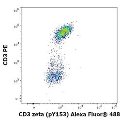 Invitrogen Phospho-CD247 (CD3 zeta) (Lys153) Monoclonal Antibody (EM-17),