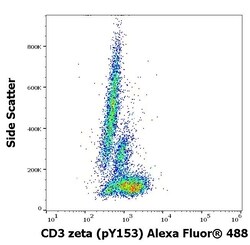 Invitrogen Phospho-CD247 (CD3 zeta) (Lys153) Monoclonal Antibody (EM-17),