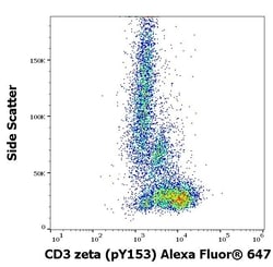Invitrogen Phospho-CD247 (CD3 zeta) (Lys153) Monoclonal Antibody (EM-17), Alexa Fluor 647 100 &mu;g | Buy Online | Invitrogen&trade; | Fisher Scientific