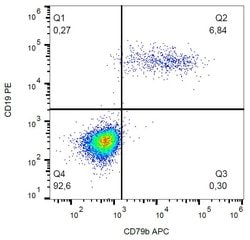 Invitrogen CD79b Monoclonal Antibody (CB3-1), APC 100 Tests | Buy Online | Invitrogen&trade; | Fisher Scientific