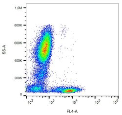 Invitrogen CD5 Monoclonal Antibody (L17F12), PerCP 100 Tests | Buy Online | Invitrogen&trade; | Fisher Scientific