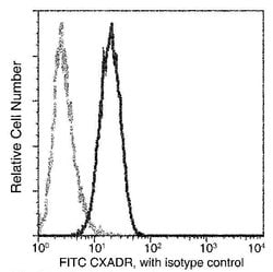 Invitrogen CAR Recombinant Rabbit Monoclonal Antibody (271), FITC 100 Tests;