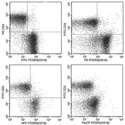 Invitrogen CD16 Recombinant Rabbit Monoclonal Antibody (002), PerCP 100