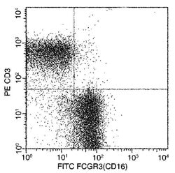 Invitrogen CD16 Recombinant Rabbit Monoclonal Antibody (002), FITC 100