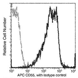 Invitrogen CD55 Recombinant Rabbit Monoclonal Antibody (076), APC 100 Tests;