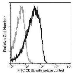 Invitrogen CD55 Recombinant Rabbit Monoclonal Antibody (076), FITC 100