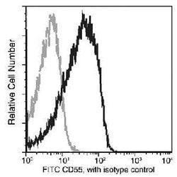 Invitrogen CD55 Recombinant Rabbit Monoclonal Antibody (076), FITC 100
