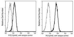 Invitrogen EphA2 Recombinant Rabbit Monoclonal Antibody (101), PE 100 Tests;