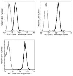 Invitrogen EphB4 Recombinant Rabbit Monoclonal Antibody (001), PE 100 Tests;