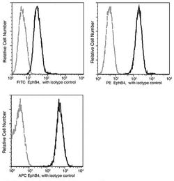 Invitrogen EphB4 Recombinant Rabbit Monoclonal Antibody (001), PE 100 Tests;