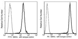 Invitrogen GBA3 Recombinant Rabbit Monoclonal Antibody (008), PE 100 Tests;