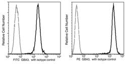 Invitrogen GBA3 Recombinant Rabbit Monoclonal Antibody (008), PE 100 Tests;