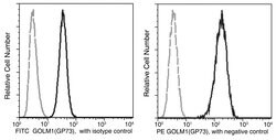 Invitrogen GOLPH2 Recombinant Rabbit Monoclonal Antibody (024), FITC 100 Tests | Buy Online | Invitrogen&trade; | Fisher Scientific