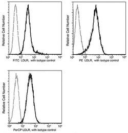 Invitrogen LDLR Recombinant Rabbit Monoclonal Antibody (032), PerCP 100