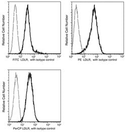 Invitrogen LDLR Recombinant Rabbit Monoclonal Antibody (032), PerCP 100