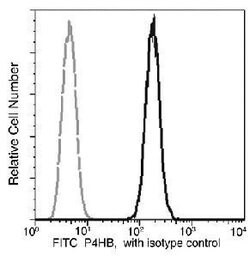 Invitrogen PDI Recombinant Rabbit Monoclonal Antibody (016), FITC 100 Tests;