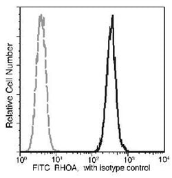 Invitrogen RhoA Recombinant Rabbit Monoclonal Antibody (036), FITC 100
