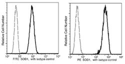Invitrogen SOD1 Recombinant Rabbit Monoclonal Antibody (106), FITC 100