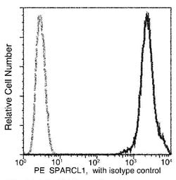 Invitrogen SPARCL1 Recombinant Rabbit Monoclonal Antibody (390), PE 100