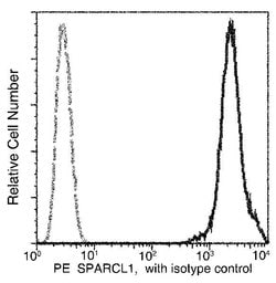 Invitrogen SPARCL1 Recombinant Rabbit Monoclonal Antibody (390), PE 100