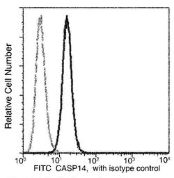 Invitrogen Caspase 14 Recombinant Rabbit Monoclonal Antibody (006), FITC