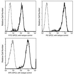 Invitrogen Glypican 3 Recombinant Rabbit Monoclonal Antibody (024), PE 100 Tests | Buy Online | Invitrogen&trade; | Fisher Scientific