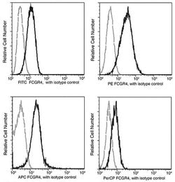 Invitrogen CD16-2 Recombinant Rabbit Monoclonal Antibody (012), PE 100
