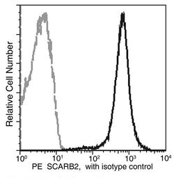 Invitrogen LIMP2 Recombinant Rabbit Monoclonal Antibody (052), PE 100 Tests;