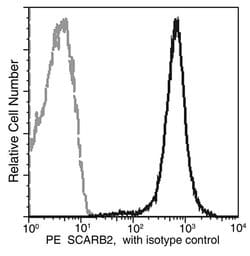 Invitrogen LIMP2 Recombinant Rabbit Monoclonal Antibody (052), PE 100 Tests;