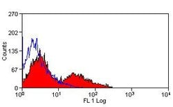 Invitrogen VCAM-1 (CD106) Monoclonal Antibody (MR106), FITC 100 &mu;g;