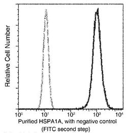 Invitrogen HSP70 Recombinant Rabbit Monoclonal Antibody (001) 100 &mu;L | Buy Online | Invitrogen&trade; | Fisher Scientific