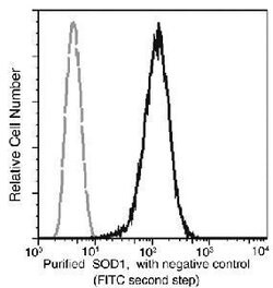 Invitrogen SOD1 Monoclonal Antibody (11) 100 &mu;L; Unconjugated:Antibodies,