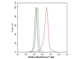 Invitrogen NFkB p50/p105 Recombinant Rabbit Monoclonal Antibody (SZ20-01)